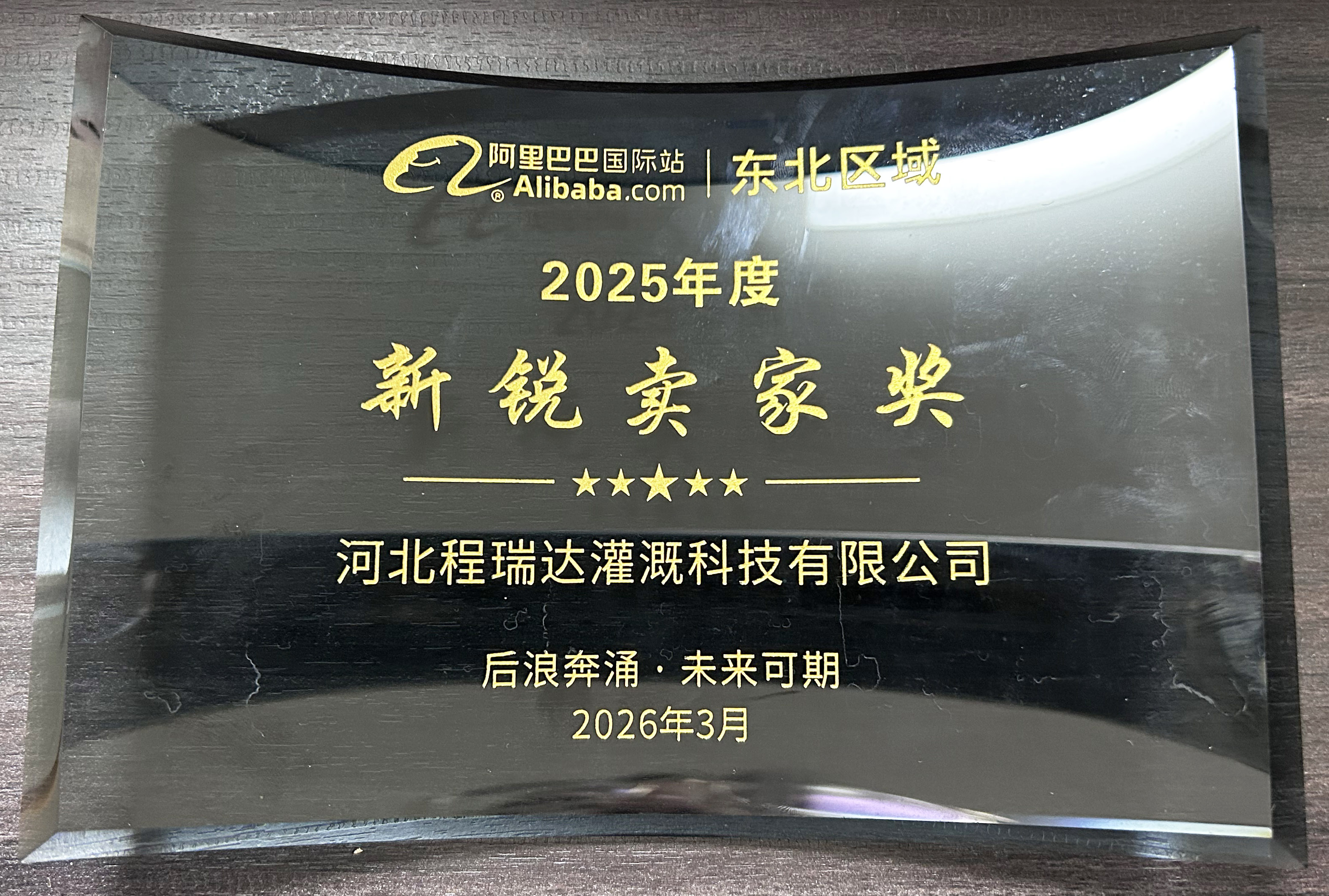 宁河程瑞达灌溉 | 荣获阿里国际站新锐卖家奖